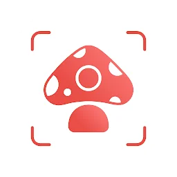 Picture Mushroom - Mushroom ID