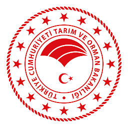 Ava Avcı